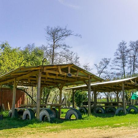 Coyunche Cabanas Y Camping Laja & San Rosendo Екстер'єр фото