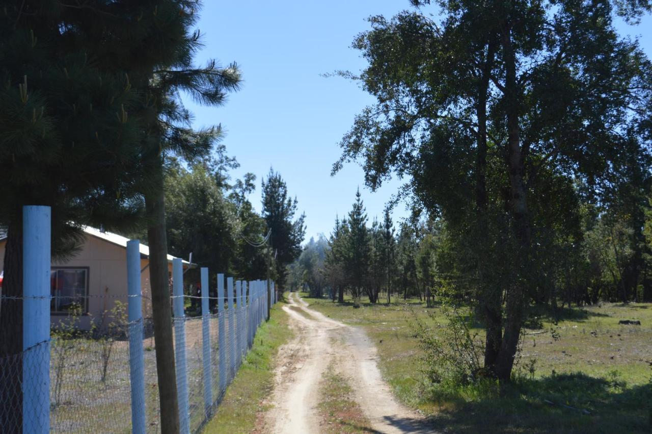 Coyunche Cabanas Y Camping Laja & San Rosendo Екстер'єр фото