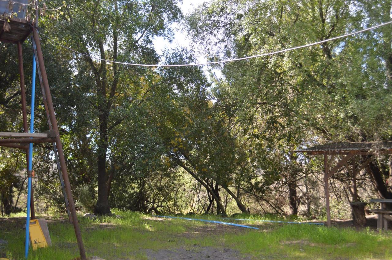 Coyunche Cabanas Y Camping Laja & San Rosendo Екстер'єр фото