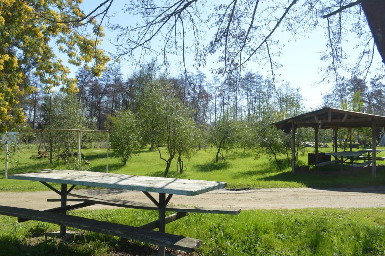 Coyunche Cabanas Y Camping Laja & San Rosendo Екстер'єр фото