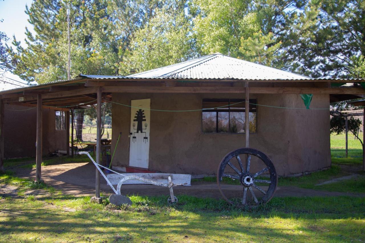 Coyunche Cabanas Y Camping Laja & San Rosendo Екстер'єр фото