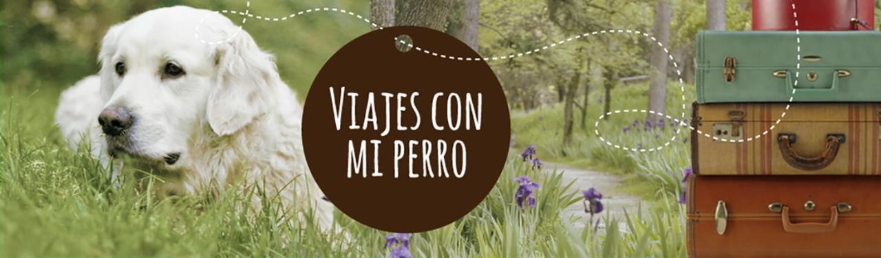Coyunche Cabanas Y Camping Laja & San Rosendo Екстер'єр фото